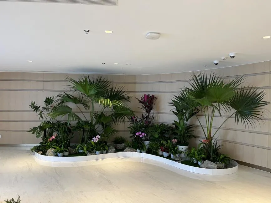 紧跟搜索习惯，揭秘北仑绿化修剪专业精髓